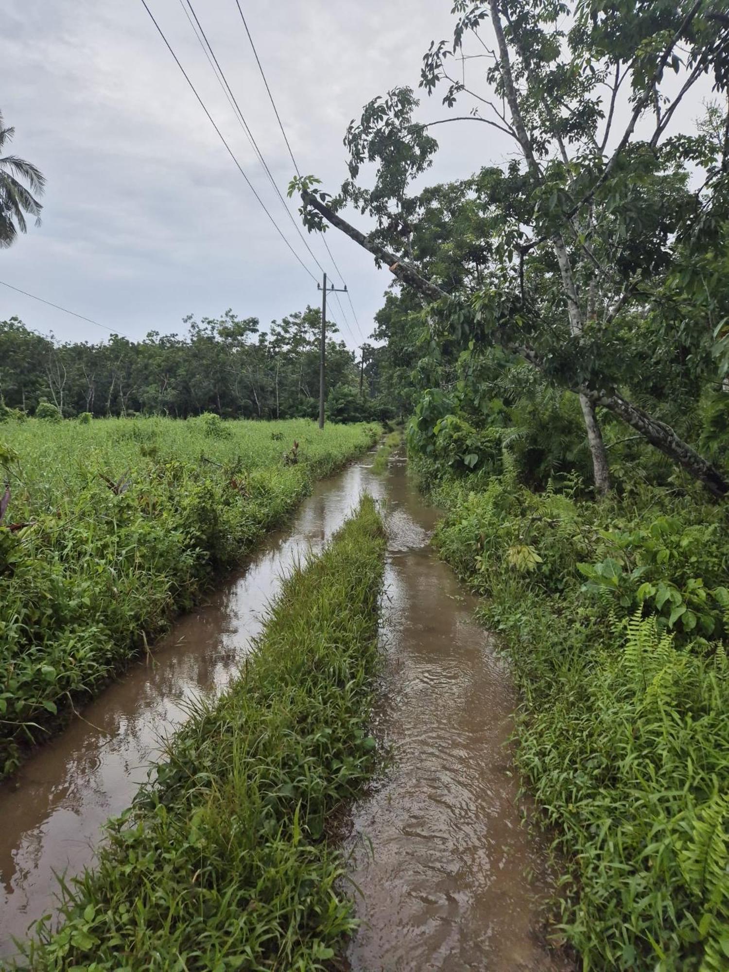 Adventure Turtle Homestay Meru Betiri Sarungan Kültér fotó