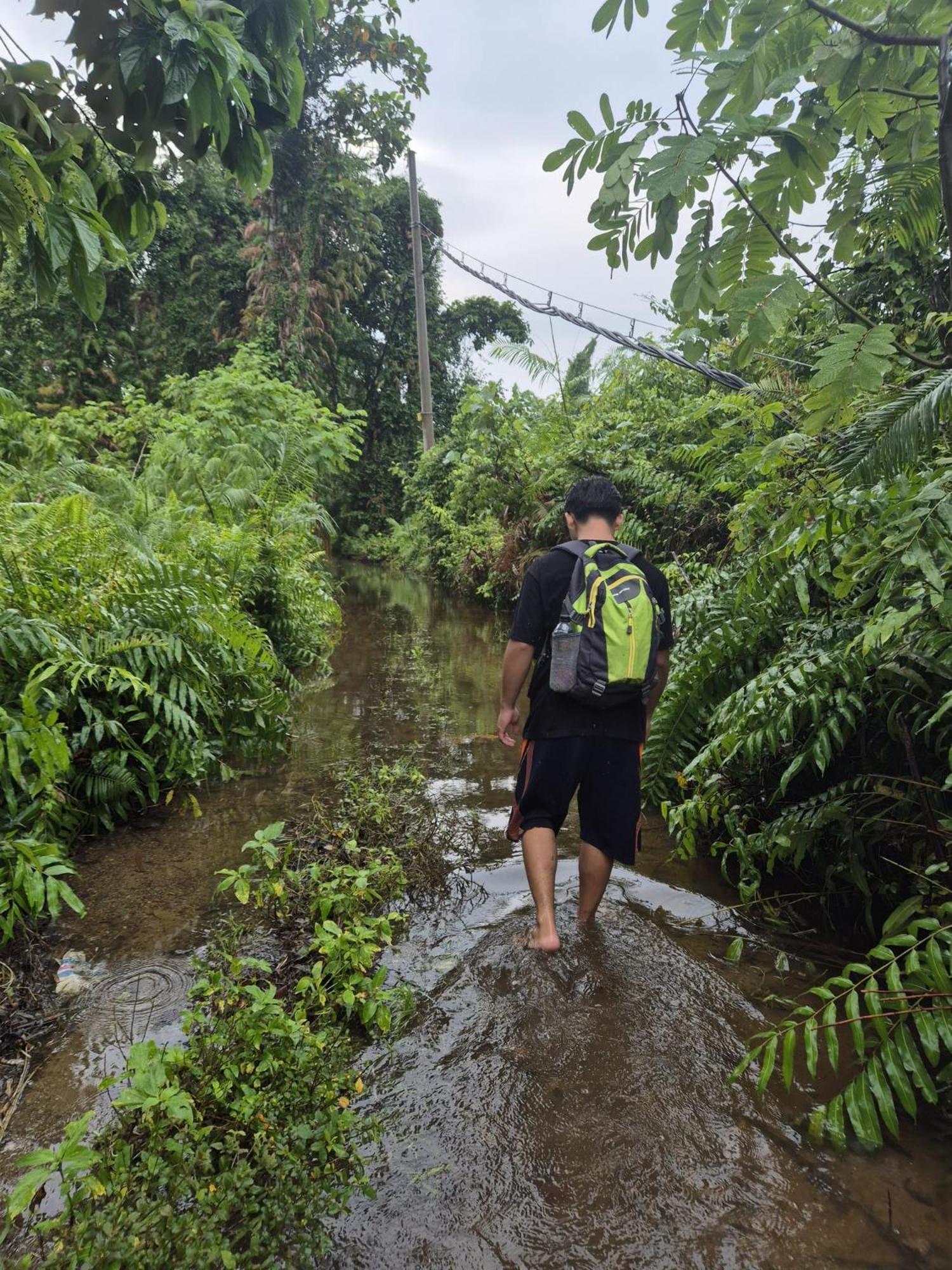 Adventure Turtle Homestay Meru Betiri Sarungan Kültér fotó